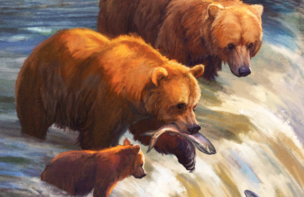 Katmai National Park Poster