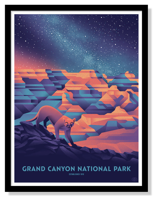 Grand Canyon National Park Poster (Night Sky)